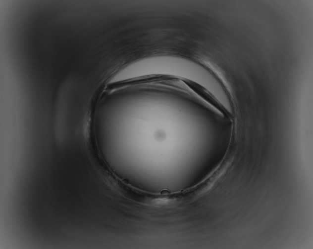 X0000100340153200806191031