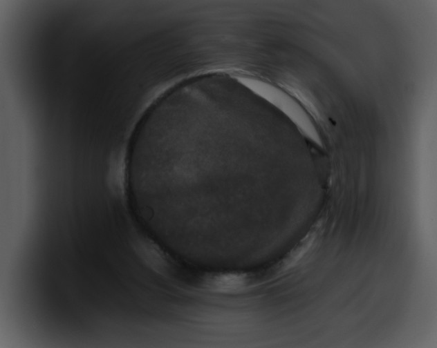 X0000100340156200806191031