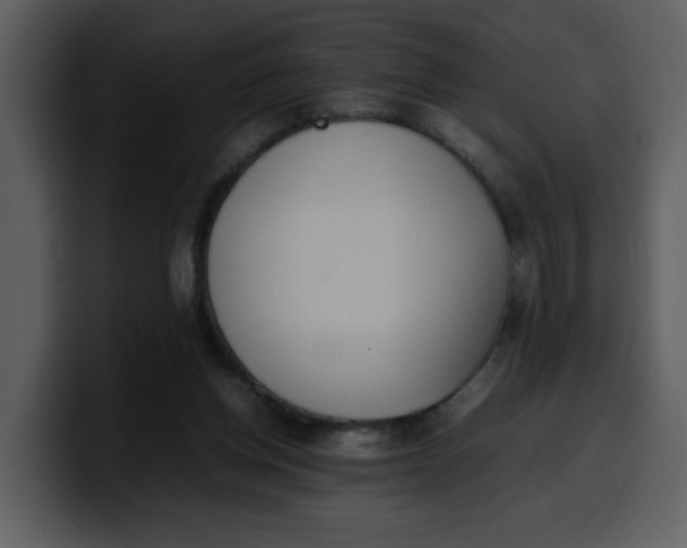 X0000100340158200806191032