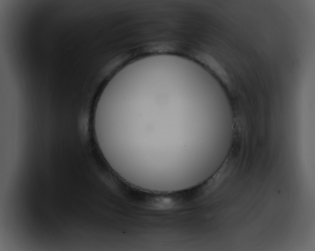 X0000100340159200806191032