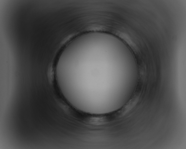 X0000100340160200806191032