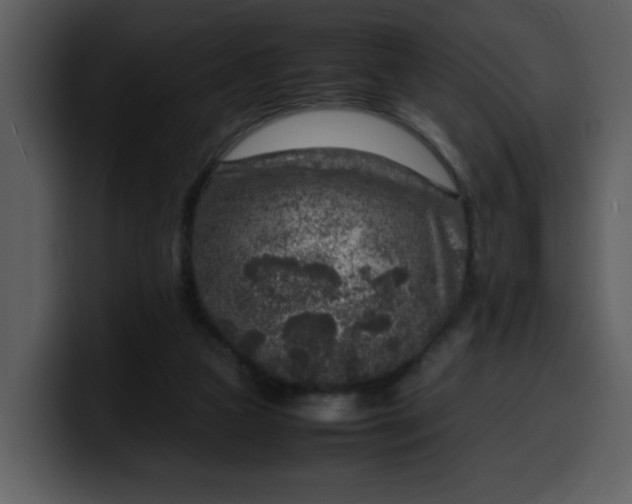 X0000100340161200806191032