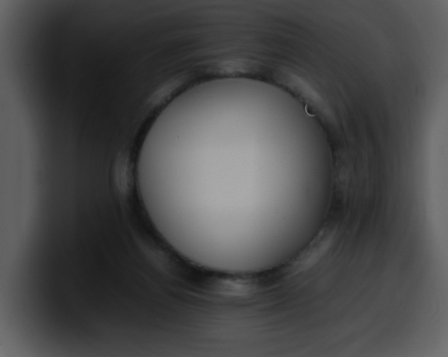 X0000100340164200806191032