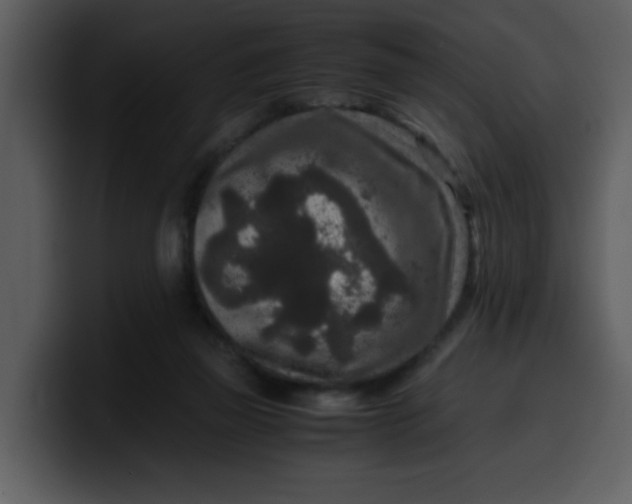 X0000100340165200806191032