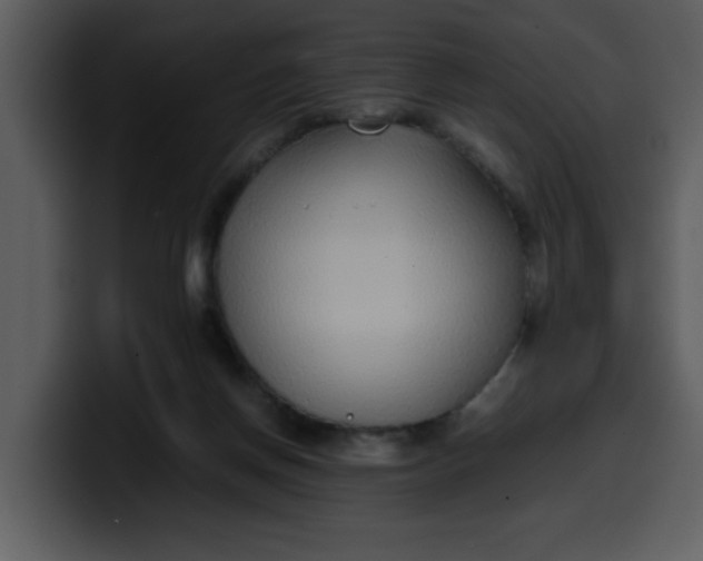 X0000100340166200806191032