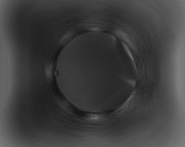 X0000100340167200806191032