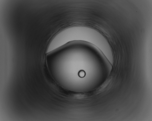 X0000100340168200806191032