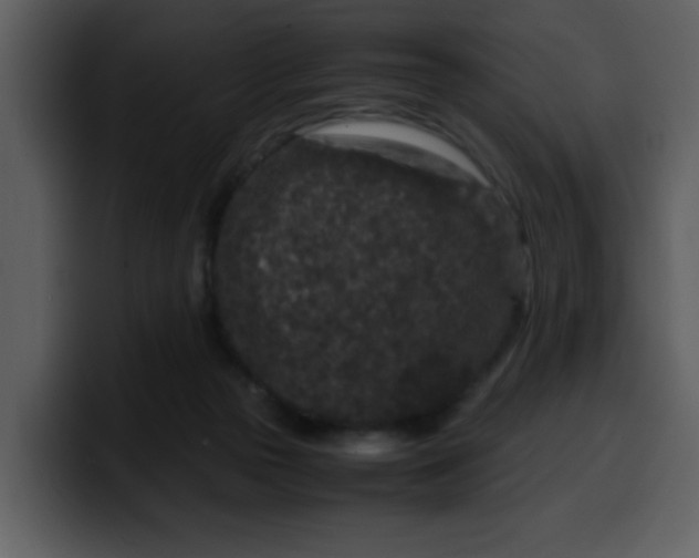 X0000100340169200806191032