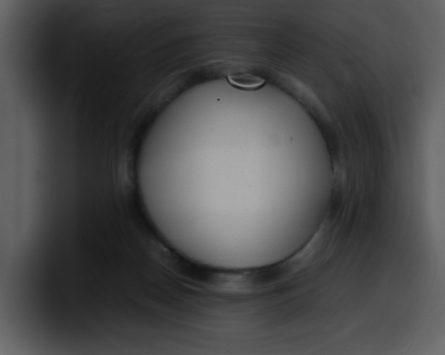 X0000100340170200806191032