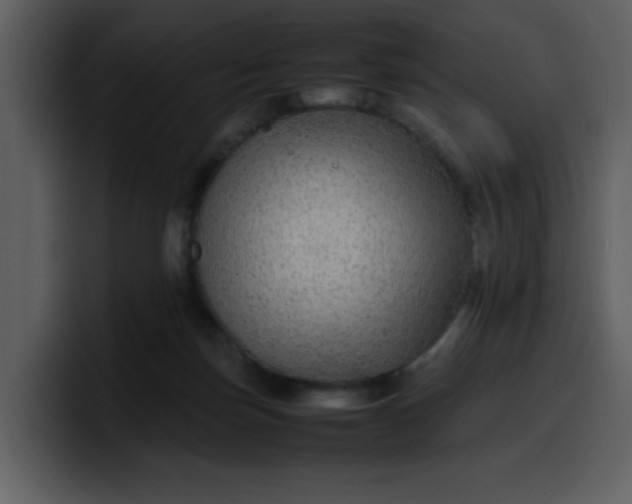 X0000100340171200806191032