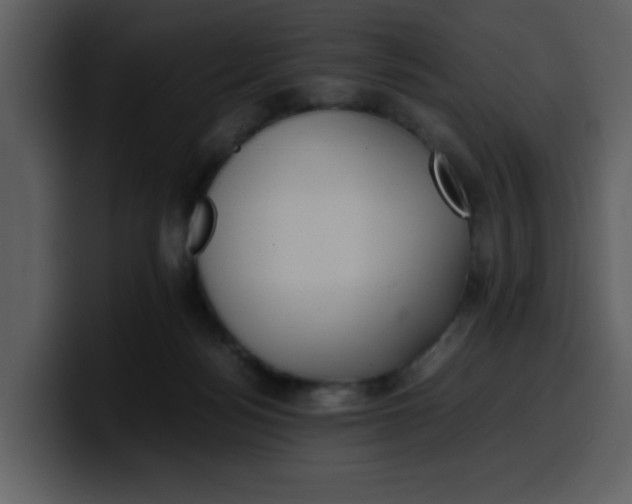 X0000100340172200806191032