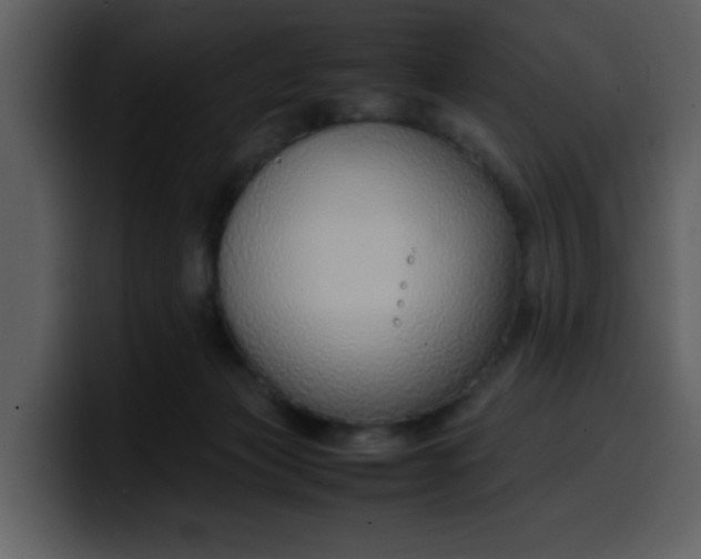 X0000100340173200806191032