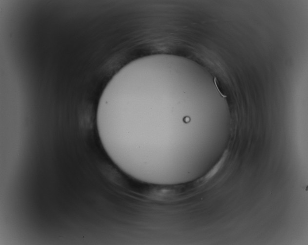 X0000100340174200806191032