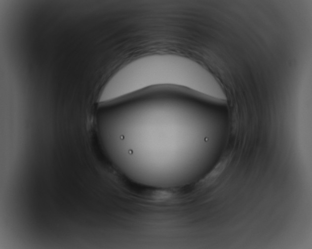 X0000100340176200806191032