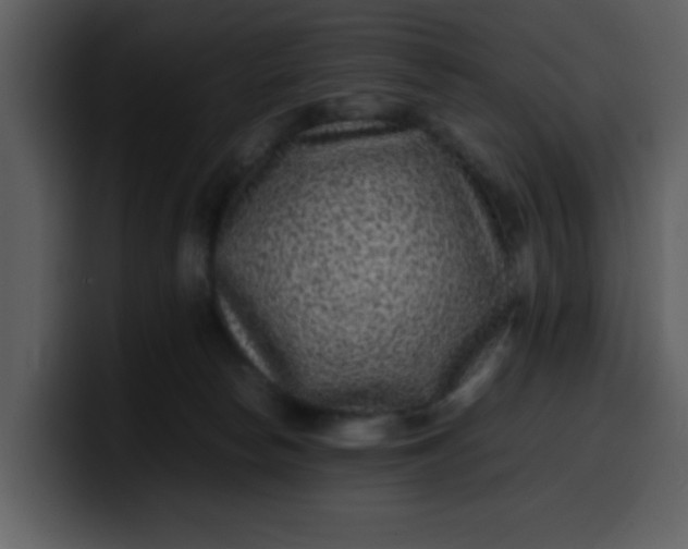 X0000100340178200806191032