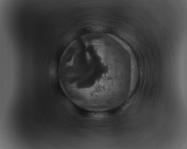 X0000100340181200806191032