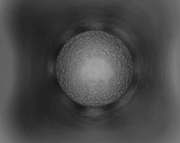 X0000100340185200806191032