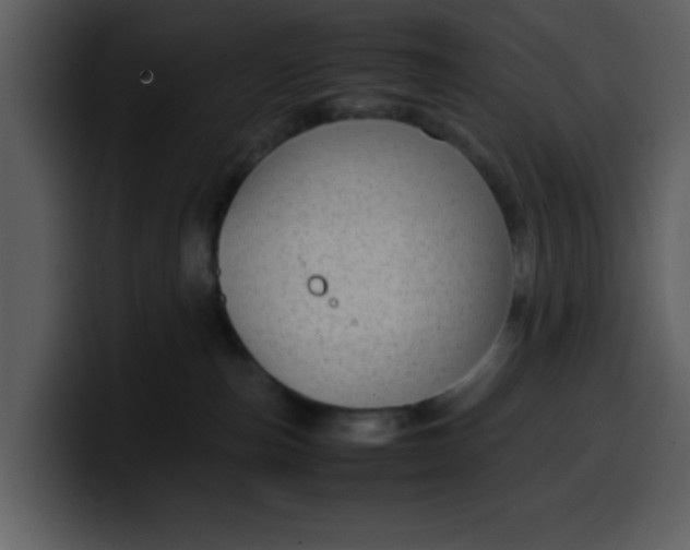 X0000100340187200806191032