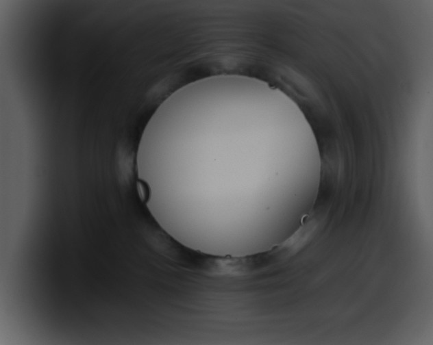 X0000100340188200806191032