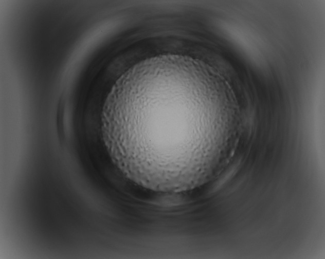 X0000100340189200806191032