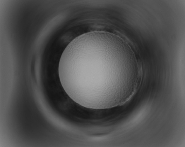 X0000100340191200806191032