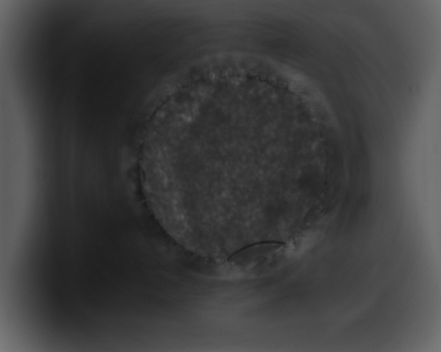 X0000100340192200806191032