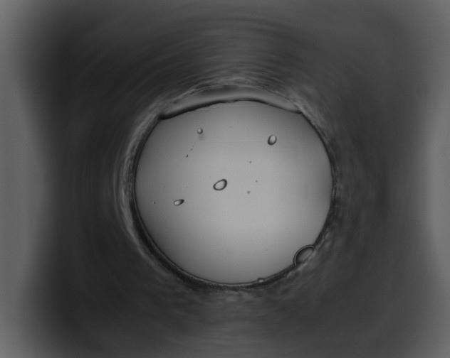 X0000100340193200806191031