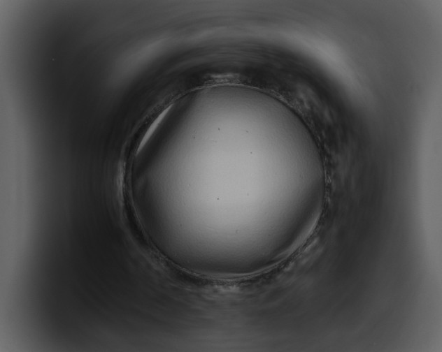 X0000100340194200806191031