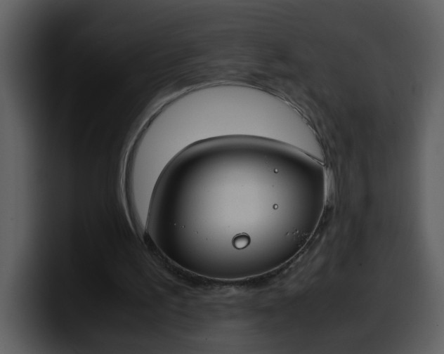 X0000100340195200806191031