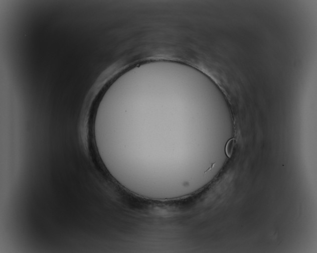 X0000100340199200806191031