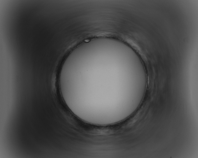 X0000100340201200806191031