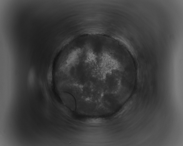 X0000100340202200806191031