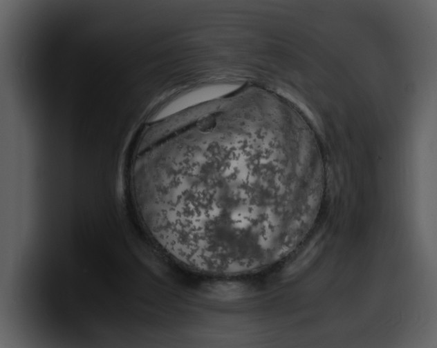 X0000100340203200806191031