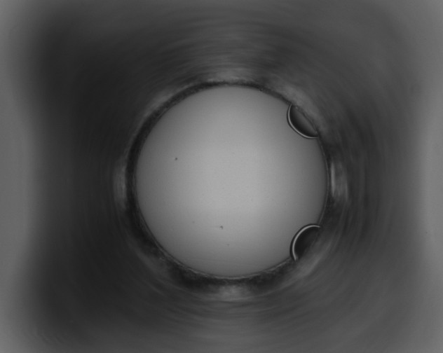 X0000100340204200806191031