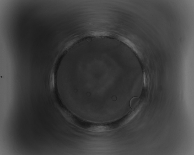 X0000100340205200806191031