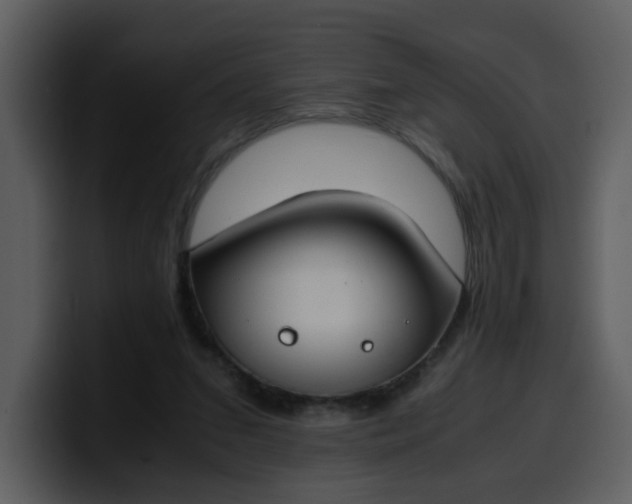 X0000100340207200806191031