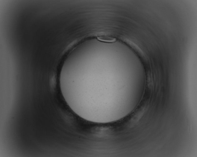 X0000100340208200806191031