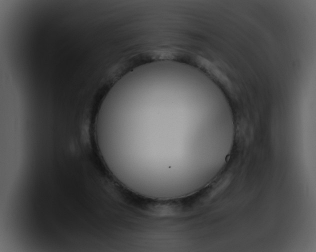 X0000100340209200806191031