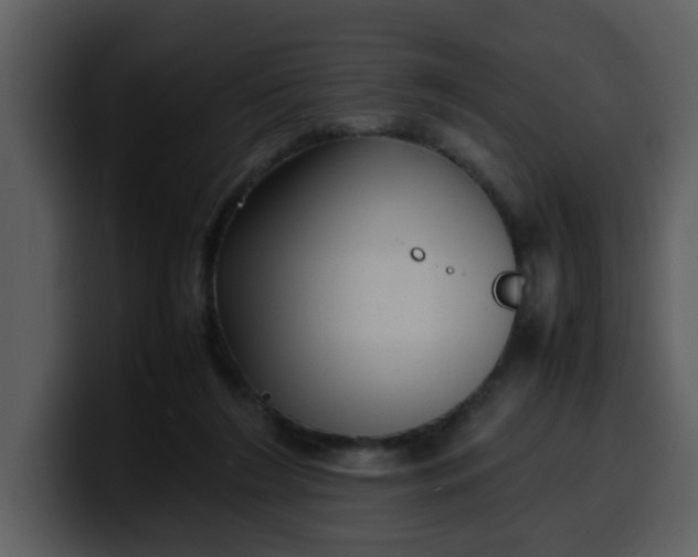 X0000100340212200806191031