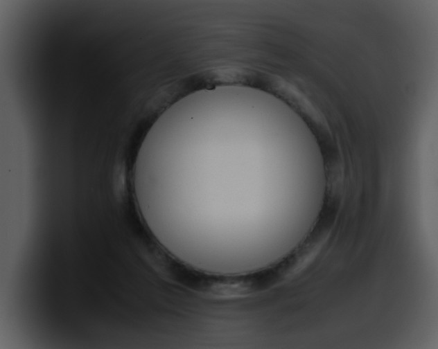 X0000100340213200806191031