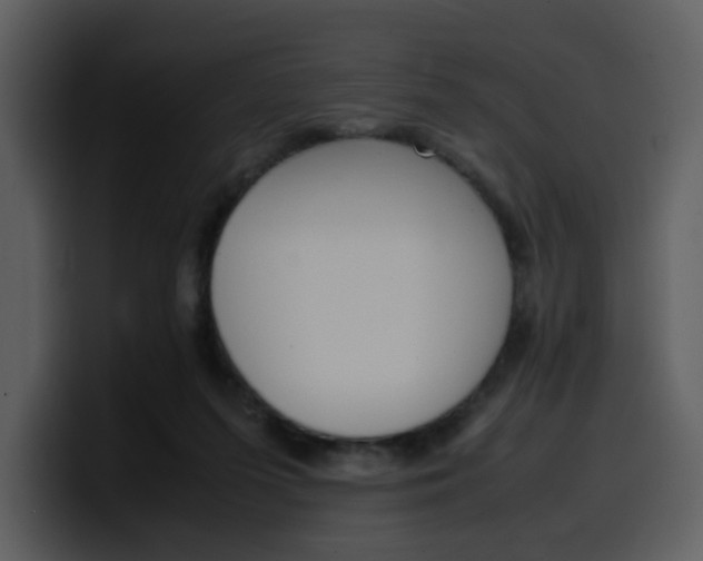 X0000100340215200806191031