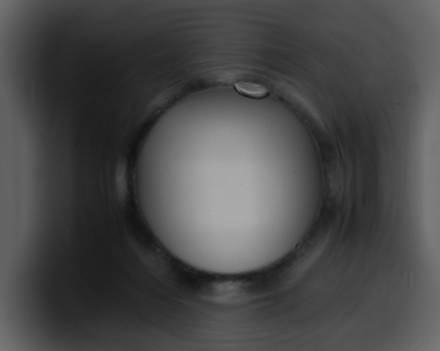 X0000100340216200806191031