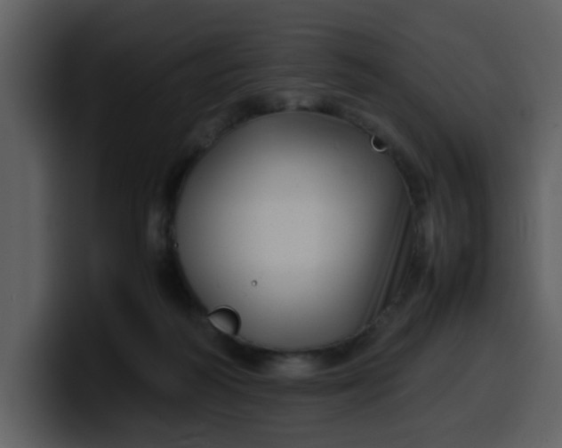 X0000100340218200806191031