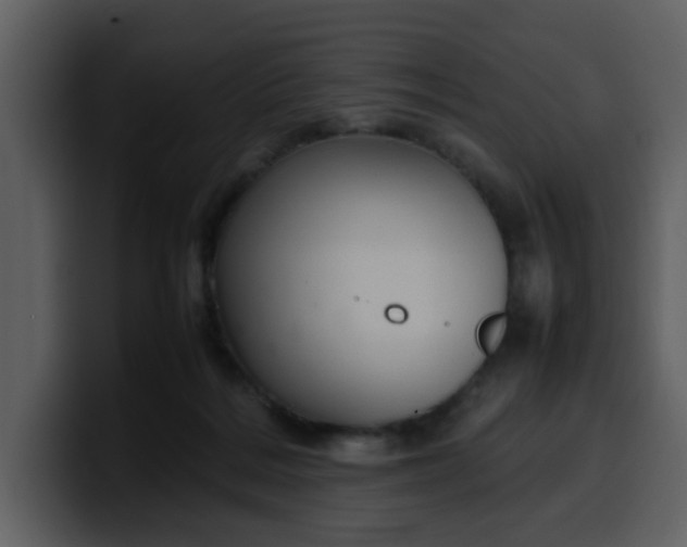 X0000100340220200806191031