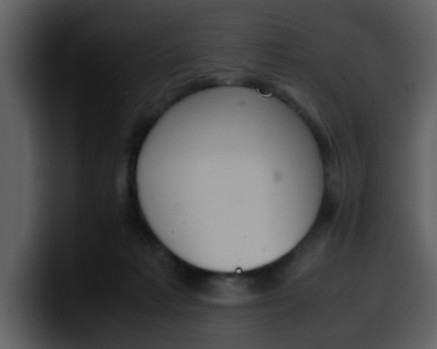 X0000100340221200806191031