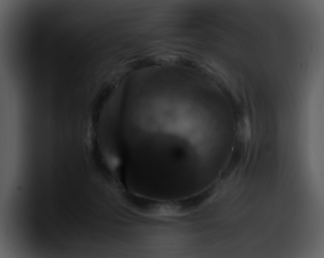 X0000100340223200806191031