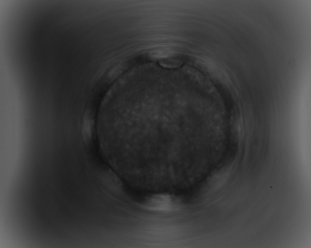 X0000100340227200806191031