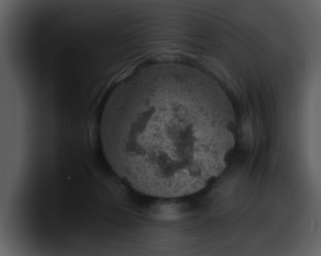 X0000100340228200806191031