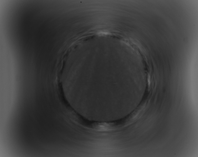 X0000100340229200806191031