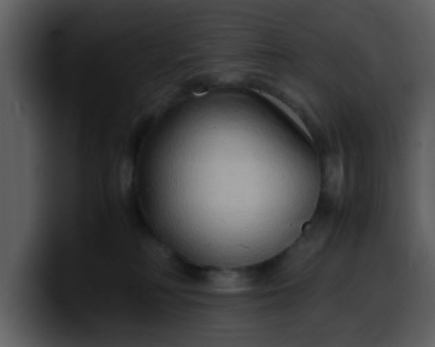 X0000100340230200806191031